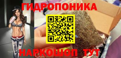 шишки Брянск