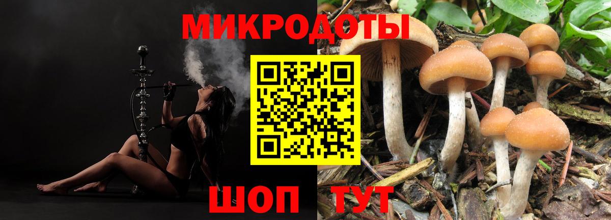 Артёмовский  Галлюциногенные грибы Magic Shrooms  Вход с VPN 