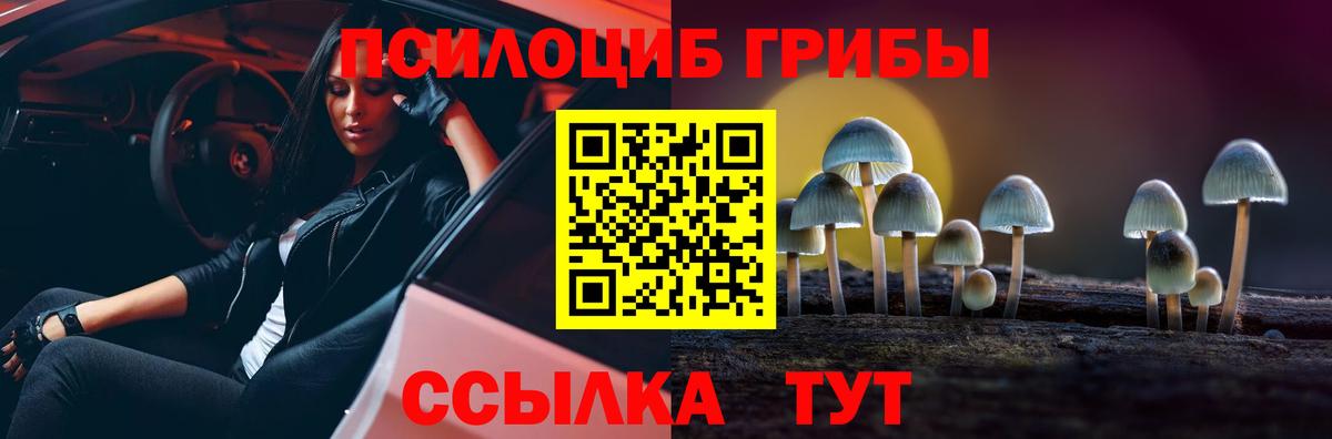 Псилоцибиновые грибы мицелий Артёмовский